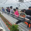 김기성 농장 이미지