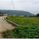 아산시-2020-001 이미지