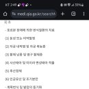 메타민 네이버블로그