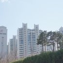 동아풍림아파트 이미지