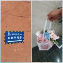 경포로 | 강원도 강릉시 경포로 꽃배달 꽃다발 실제배송 후기｜플라워119 당일배송
