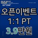 피티투그로우PT 이미지