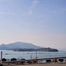 더오아시스