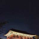보령1호수산 네이버블로그