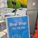 대중도기 이미지