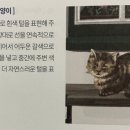 퇴근후, 여행드로잉 이미지