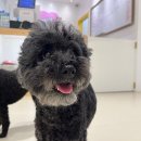 견생낙원 이미지