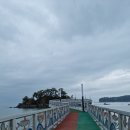 바닷길 풍경 | [충남 여행] 보령 무창포 해수욕장 사계절 갈만한 곳 다녀온 후기 애견동반 산책 추천