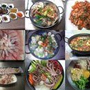 이학식당 이미지