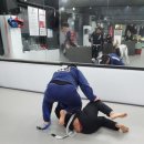 주짓수&킥복싱 쌍문탑짐 이미지