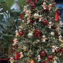 청산카 | [남산_데이트] 외국인 서울 여행 코스 | 남산타워 케이블카-신세계본점-치맥-빛초롱축제