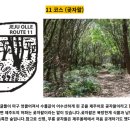 오일시장 체육공원 네이버블로그
