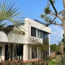 제주하와이 덕수궁 이미지