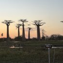 스마트폰으로 인생 샷 찍기(스마트폰 사진 기술) | (마다가스카르 여행 번외) 스마트폰으로 천체사진 찍기.