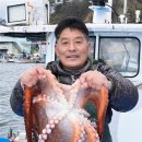 화진포(현내)해변 이미지