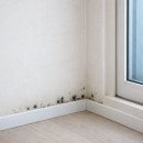 생활목공 기초 | [다산 e편한세상 자이] 아이방 곰팡이 해결을 위한 이중 단열 목공 가이드