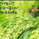 백의민족 이미지
