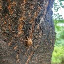 드라이데이전문세탁소 이미지