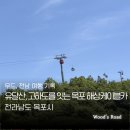 [전남 목포] 유달산을 지나 고하도 해상데크까지, 해상케이블카 후기