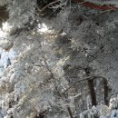 모산봉