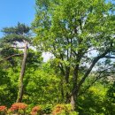 쌀바위맛집 이미지