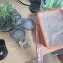 곱볶당 | 맛있게 포장해서 먹은 쌍문동 야채곱창 곱볶당!