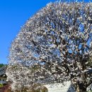 대연2농장 이미지