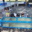 코끼리 관광농원 이미지