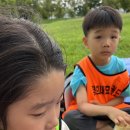 경희 효 태권도장 이미지