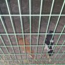 위태경로당 이미지