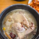 지호한방삼계탕 오륜점 | 복날 앞두고 다녀온 지호한방삼계탕오륜점 내돈내산후기