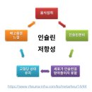 미르약국 이미지