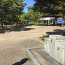 선진주 이미지