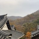 순천 여행 선암사 한옥에서 즐기는 순천전통야생차 체험관 후기