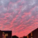 제주독채펜션자쿠지감성숙소구르미별동 이미지