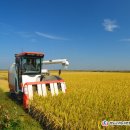 청도농기계임대사업소(산서분소) 이미지