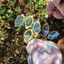 초록샘어린이집 이미지