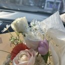 발레리조트 | 보령숙소추천 | 보령 발레리조트 후기