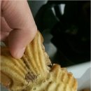 호호붕어빵 이미지