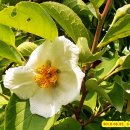 농업체험공원 이미지