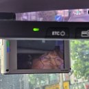 라떼킹부평테마의 | [방탈출] SHIFT : 고쿄의 하루 :: 7/15