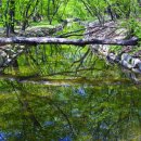 상림관광안내소 이미지