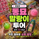 성지투어 | 동묘 말랑이 성지 투어 직접 다녀온 솔직 후기 구매 꿀팁까지