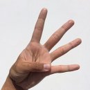 스타일안경 이미지