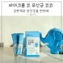 한장한코 | 코면역과 장건강을 한 번에 바이크롬 코유산균 코코 후기