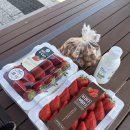 김창영농장 이미지