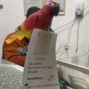 황금잉어빵 - 노원구 동일로237길 40 | 상봉역 줄 서는 붕어빵 맛집 황금 잉어빵 웨이팅 후기