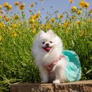 에이알씨(주) 이미지