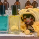 센트 모모 (SCENT M.O.M.O.)