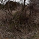 거제중앙로10길 이미지